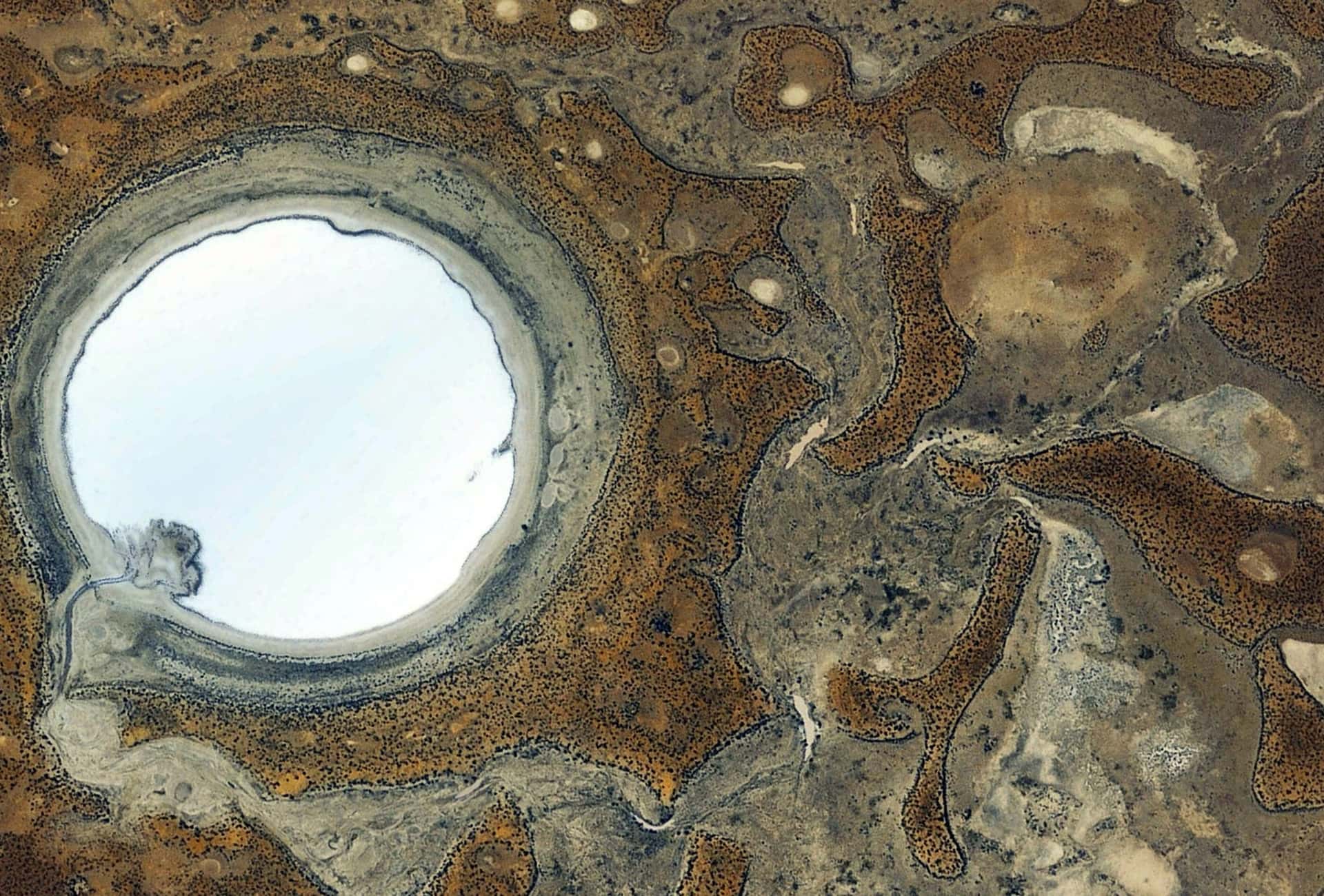 Supply chain and supplier assessment