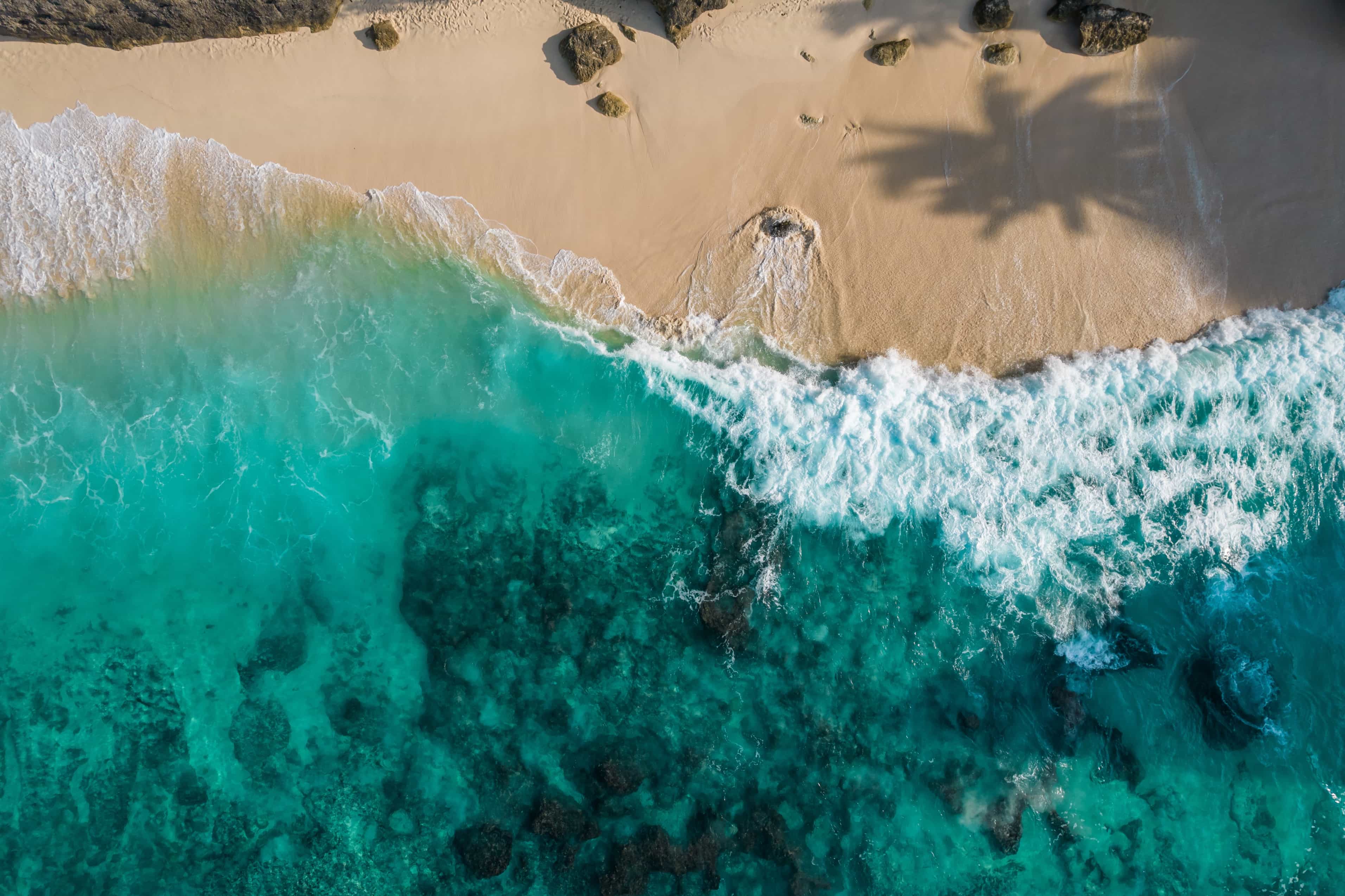 Nissan Formula E racing car competing on track under dramatic night lighting