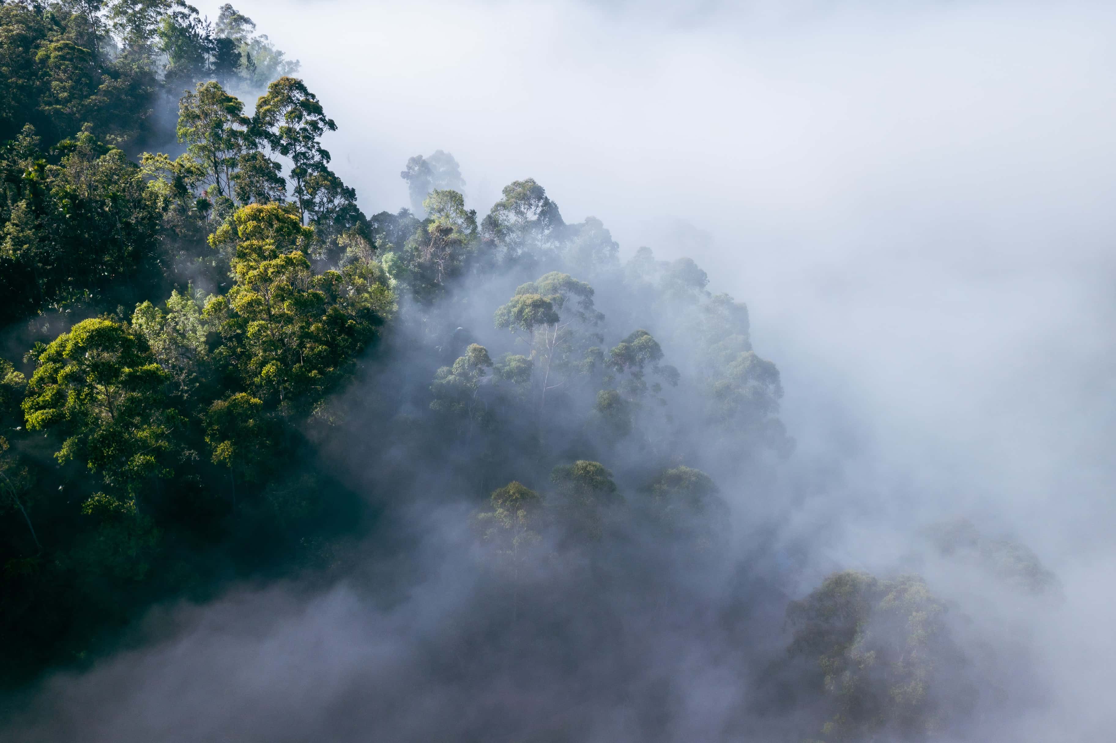 واجهة منصة تداول العملات الرقمية OKX