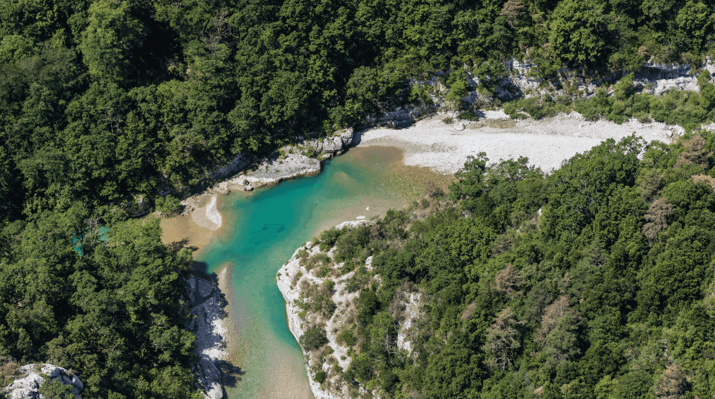 Transforming Carbon Markets and Its Impacts