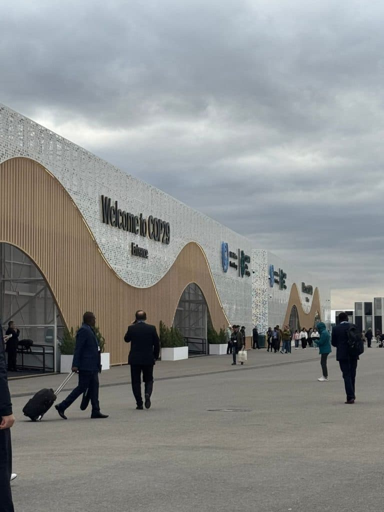 Coral enters COP29